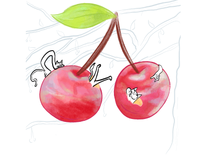 cherry love